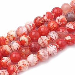 Dyed Natural Crackle Agate Beads Strands&nbsp;G-T100-03C