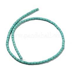 Dyed Synthetic Turquoise Beads Strands&nbsp;G-G075-A02-01