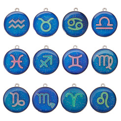 12Pcs 12 Constellations Epoxy Resin Pendants&nbsp;FIND-TAC0027-38