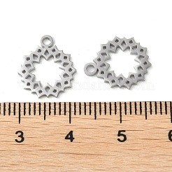 304 Stainless Steel Charms&nbsp;STAS-Q303-06P