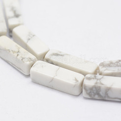 Natural Howlite Beads Strands&nbsp;X-G-E342-15