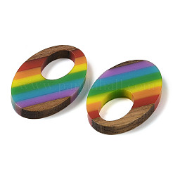Pride Rainbow Theme Resin & Walnut Wood Pendants&nbsp;WOOD-K012-01