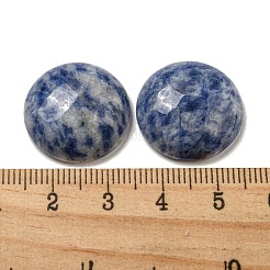 Natural Blue Spot Jasper Cabochons&nbsp;G-C115-02A-45