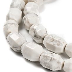 Natural Howlite Beads Strands&nbsp;G-F781-A03-01
