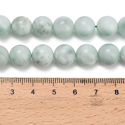 Glass Beads Strands&nbsp;G-L642-B18-10mm
