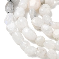 Natural Rainbow Moonstone Beads Strands&nbsp;GG-CBAAEDE-B05
