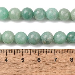 Natural Amazonite Beads Strands&nbsp;G-F461-12-8mm-01AB
