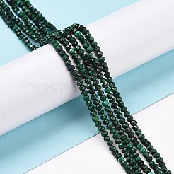 Natural Malachite Beads Strands&nbsp;G-E194-08