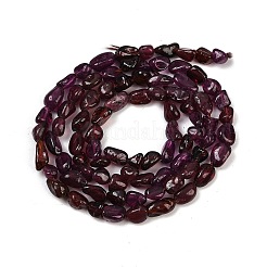 Natural Brazil Garnet Beads Strands&nbsp;G-Q060-A01