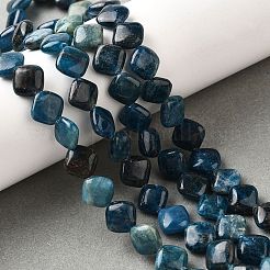 Natural Apatite Beads Strands&nbsp;G-Q026-D01-01