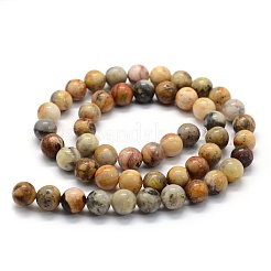 Natural Crazy Lace Agate Beads Strands&nbsp;G-G763-10-6mm