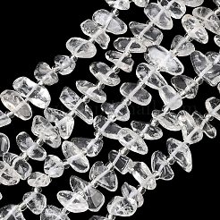 Natural Quartz Crystal Beads Strands&nbsp;G-P619-A01-01