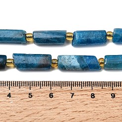 Natural Apatite Beads Strands&nbsp;G-D353-A02