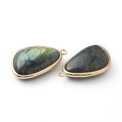 Natural Labradorite Pendants&nbsp;G-B009-05G