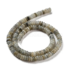 Natural Labradorite Beads Strands&nbsp;G-G084-A03-01