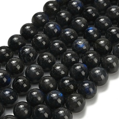 Natural Black Labradorite Beads Strands&nbsp;G-L642-B15-12mm
