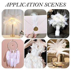 20Pcs 2 Styles Ostrich Feather Costume Accessories&nbsp;FIND-TA0005-96