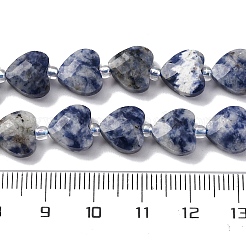 Natural Blue Spot Jasper Beads Strands&nbsp;G-P570-E19-01