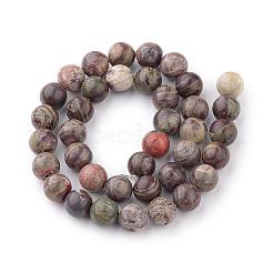 Natural Flower Agate Beads Strands&nbsp;G-Q462-8mm-34