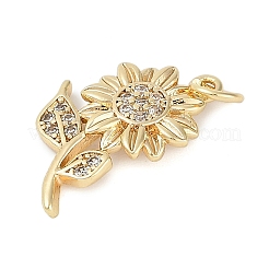 Rack Plating Brass Micro Pave Cubic Zirconia Pendants&nbsp;KK-H509-25G-01