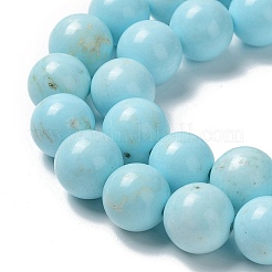 Natural Howlite Beads Strands&nbsp;G-E604-B02-C