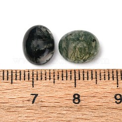 Natural Moss Agate Cabochons&nbsp;X-G-H314-01