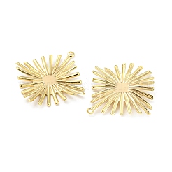 Brass Pendants&nbsp;KK-L208-13G