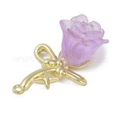 Golden Alloy Resin Pendants&nbsp;FIND-U017-07G-02