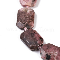 Natural Rhodonite Beads Strands&nbsp;G-B125-P01-01