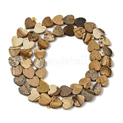 Natural Picture Jasper Beads Strands&nbsp;G-M403-A10-03