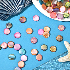 4 Strands Natural Freshwater Shell Beads Strands&nbsp;SHEL-SC0001-81