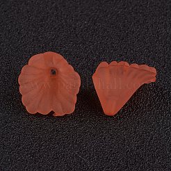Transparent Acrylic Beads&nbsp;LS-PL622-C12