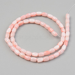 Natural Freshwater Shell Beads Strand&nbsp;X-SHEL-T017-39B