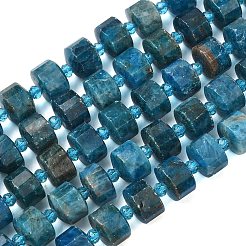 Natural Apatite Beads Strands&nbsp;G-G453-G08-7x12mm