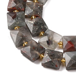 Natural African Bloodstone Beads Strands&nbsp;G-F839-A01-01
