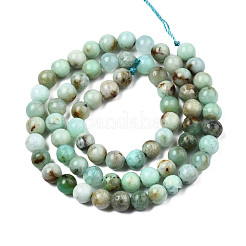 Natural Chrysoprase Beads Strands&nbsp;G-S333-6mm-016