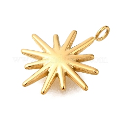 304 Stainless Steel Pendants&nbsp;STAS-R159-01G