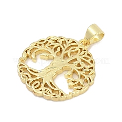 Brass Pendants&nbsp;KK-D317-114G