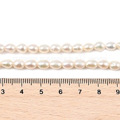 Natural Cultured Freshwater Pearl Beads Strands&nbsp;PEAR-I007-01A-02A