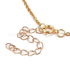 Apple Pendant Necklaces&nbsp;NJEW-JN03078-02