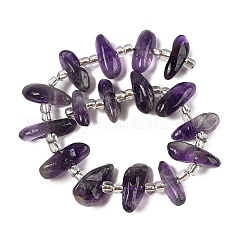 Natural Amethyst Beads Strands&nbsp;G-Q023-E01-01