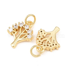 Brass Micro Pave Cubic Zirconia Charms&nbsp;KK-C162-036G