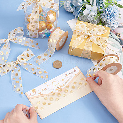 2 Rolls 2 Styles Printed Organza Ribbons&nbsp;SRIB-PH0001-29
