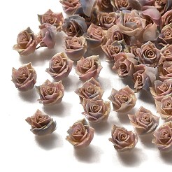 Luminous Opaque Resin Cabochons&nbsp;CRES-R458-14A-01