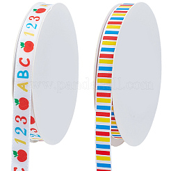 2 Rolls 2 Styles Back to School Polyester Ribbon&nbsp;OCOR-CY0003-75B