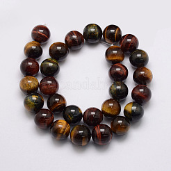 Natural & Dyed Tiger Eye Bead Strands&nbsp;G-P230-01-10mm
