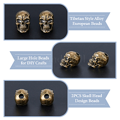 2Pcs Brass EDC European Beads&nbsp;KK-FH0007-41B