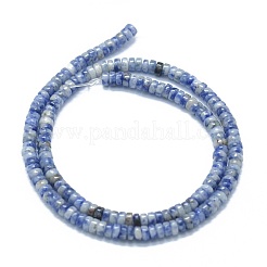 Natural Blue Spot Jasper Beads Strands&nbsp;G-F631-A17