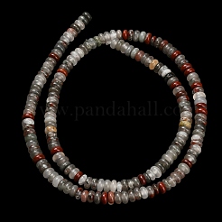 Natural African Bloodstone Beads Strands&nbsp;G-L635-A28-4x2mm