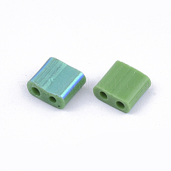 FGB 2-Hole Glass Seed Beads&nbsp;X-SEED-S031-L-047-R